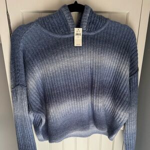 American Eagle Hooded Sweater